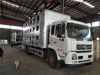 东风天锦全铝合金猪苗运输车 猪肉涨价背后的物流“高级化”